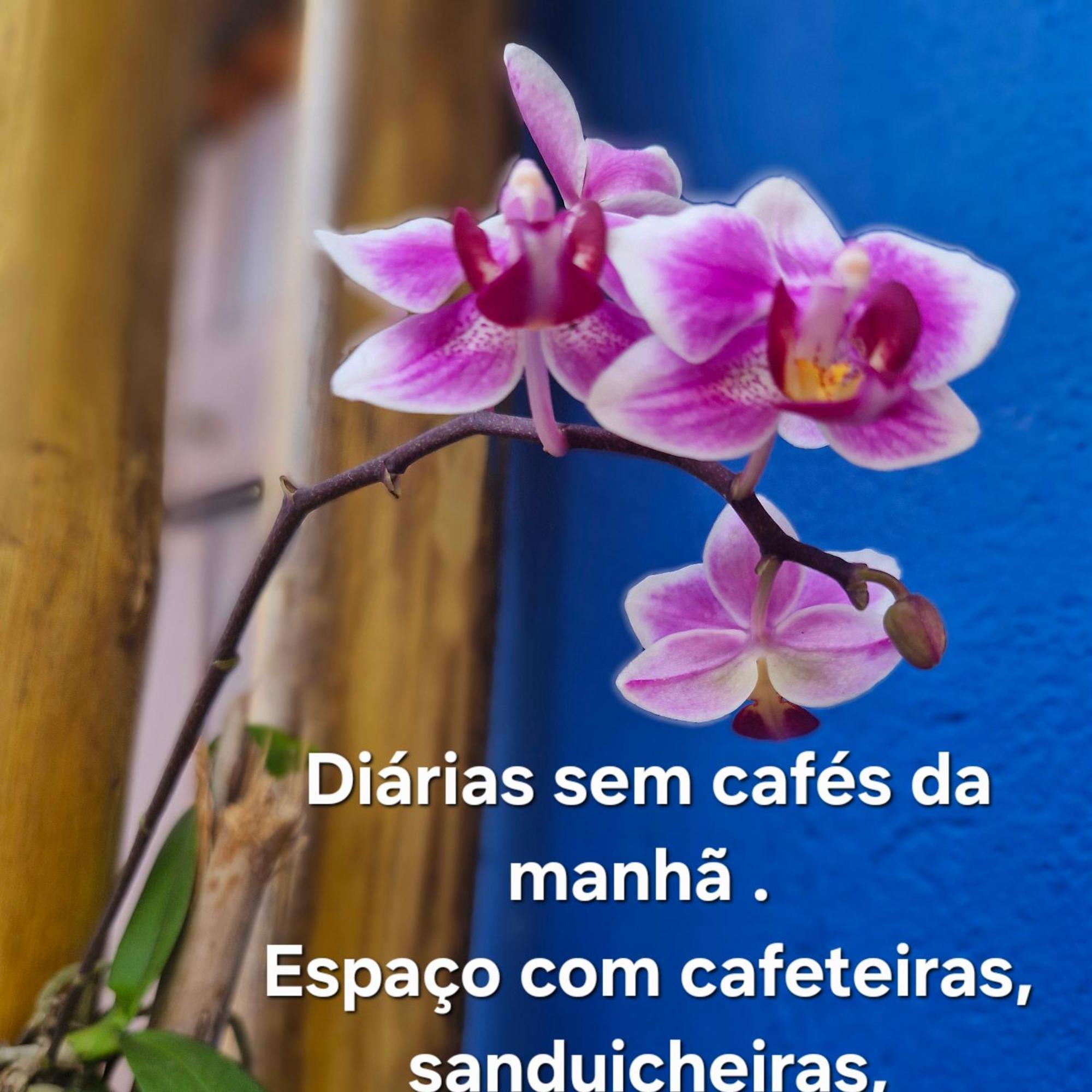 A Ver O Mar Suites Cocanha 卡拉瓜塔图巴 外观 照片